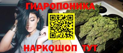 ECSTASY Тула