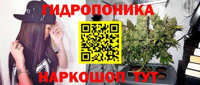СК Тулун